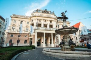 3 Capitals - from Vienna to Bratislava & Budapest Private Tour - Private Guide Plus Separate Driver: What You Really Get