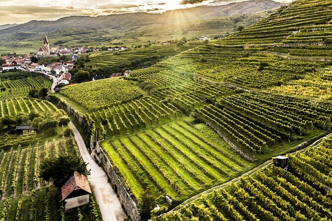 3 Castles & Wine Private Tour in Wachau Valley (incl. Melk Abbey) - Melk Abbey terrace views and the Baroque church effect