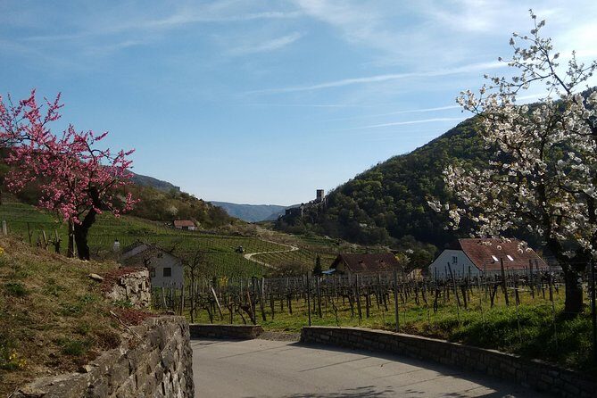 3-Hour Private Hiking Tour to historic places around Spitz in Wachau Valley - The Wachau UNESCO setting you’ll actually walk through