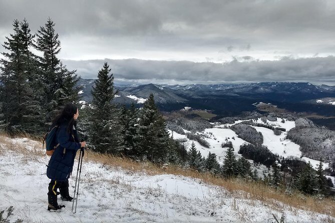 4-Hour Private Alpine Great George at High Wall Mountain from Vienna - Key Things You’ll Notice on This Hohe Wand Private Hike