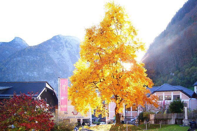 Alpine Hallstatt Day Trip from Vienna incl. Admont Abbey Visit - Guides, Audio, and Comfort: Small Group, Big Personality