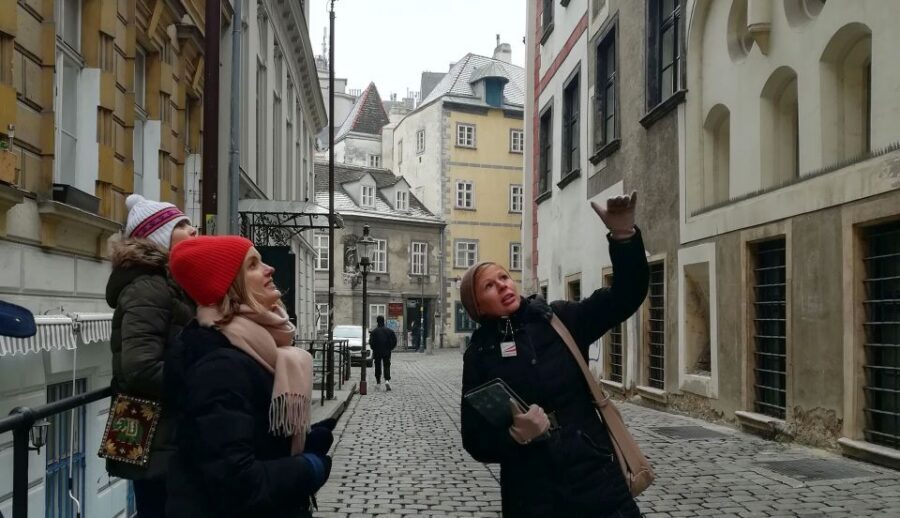 An Introduction to Vienna Walking Tour - The guide experience: experts who keep it human