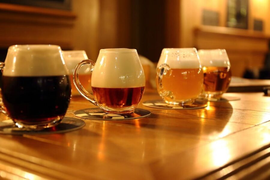 Austrian Beer Tasting and Self-Guided Tour of Vienna - Flexibility: You’re Your Own Guide (Use It)
