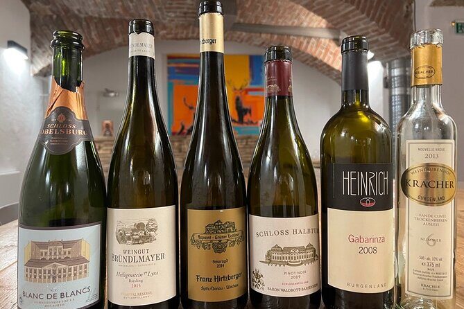 Austrian Wine Tasting - Who Should Book This Tasting in Vienna?