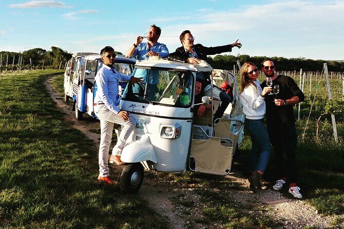 Best of Vienna Tour in TUK TUK! - Who should book this private TUK TUK tour