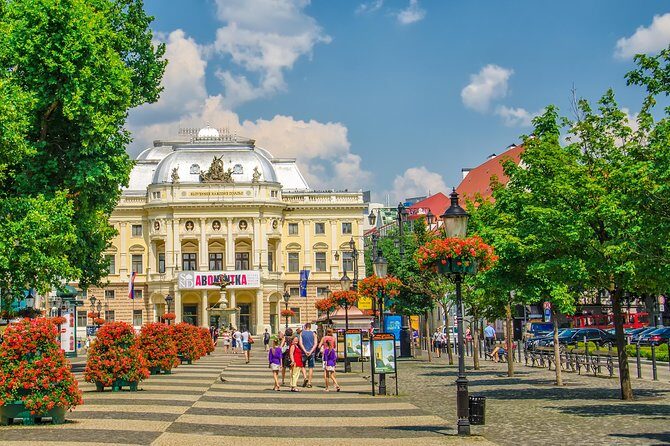 Bratislava Small-Group Day Trip from Vienna with Walk & Lunch - Price and Logistics: What You’re Really Paying For