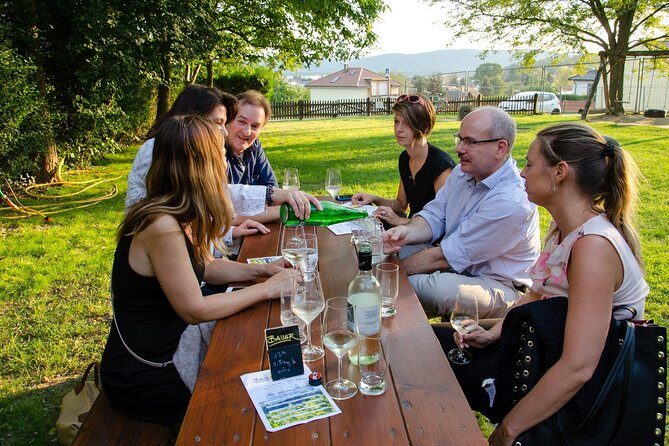 Countryside Half Day Wine Tour near Vienna - Key points to know before you go