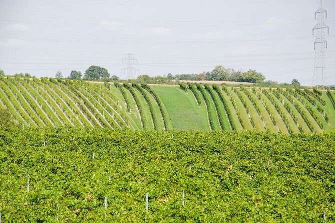 Countryside Half Day Wine Tour near Vienna - Between Stops: Comfort, Snack Breaks, and a Pace That Stays Social