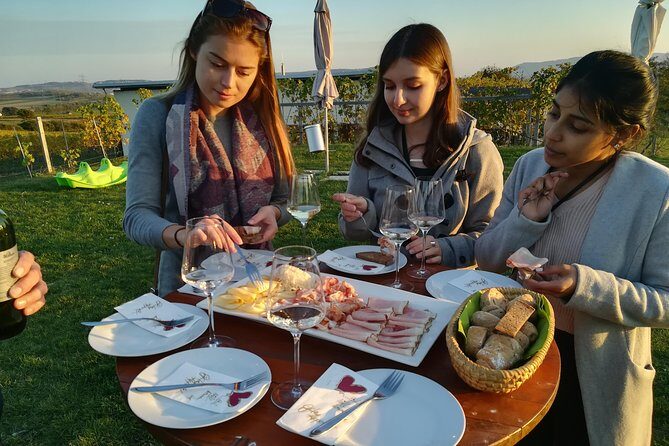 Countryside Half Day Wine Tour near Vienna - The Austrian Meal at the Final Stop: Lunch or Dinner That Actually Fits the Wine