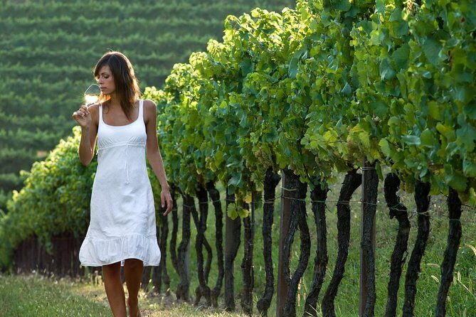 Countryside Half Day Wine Tour near Vienna - Price and Logistics: Does $145.12 Make Sense?