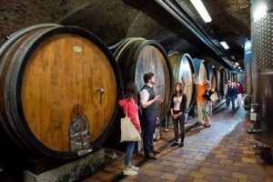 Day Ticket for Klosterneuburg Abbey - Ticket Value: Why This Day Pass Works for 1 to 3 Hours