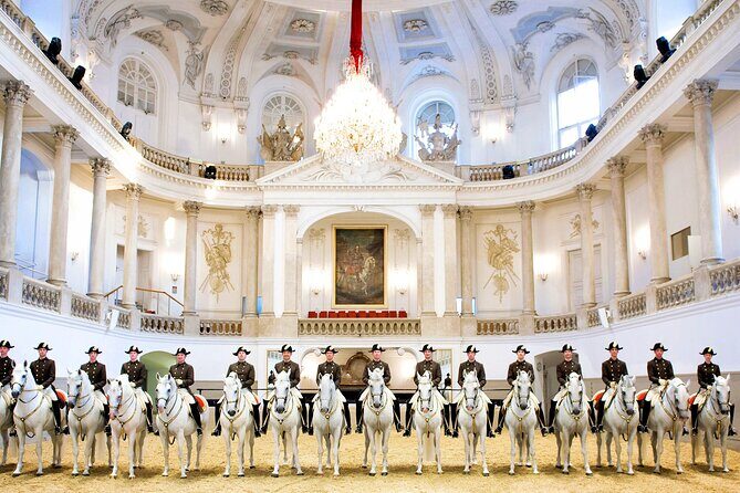 Exciting history tour and discovery of Vienna's secrets - Hofburg Palace: Heroes’ Square, Sisi’s wedding church, and the National Library moment