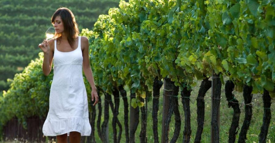 From Vienna: Half-day Countryside Wine Tour with Meal - Quick hits