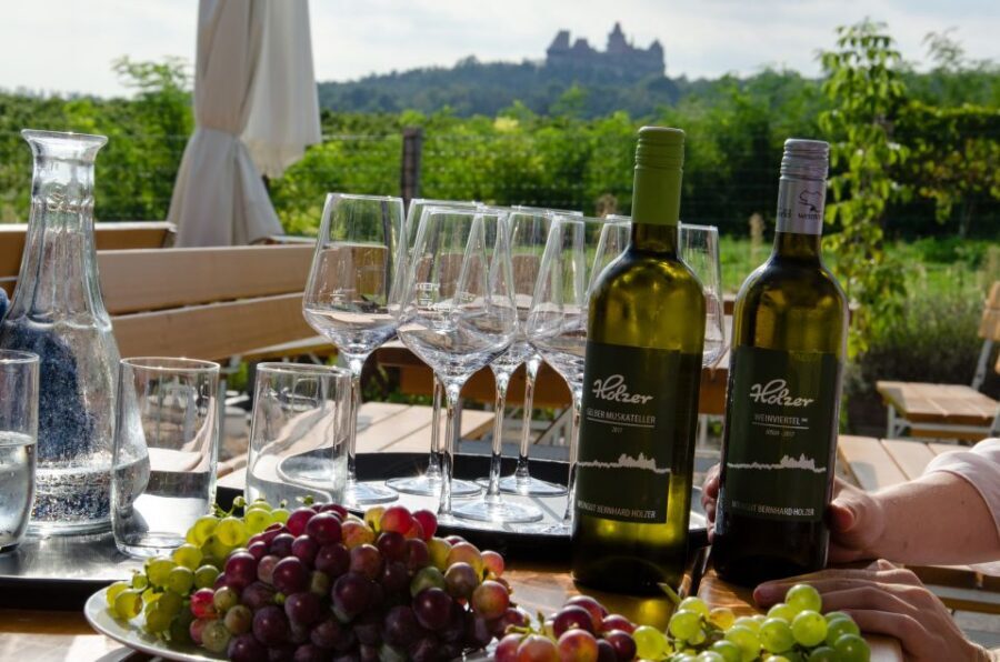 From Vienna: Half-day Countryside Wine Tour with Meal - Two or Three Wineries: What the Tastings Are Really Like