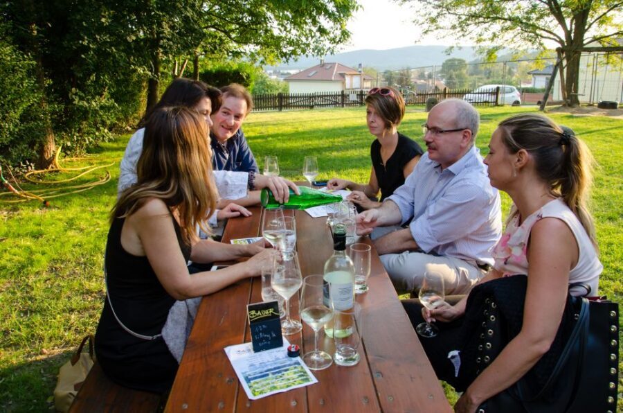 From Vienna: Half-day Countryside Wine Tour with Meal - Meeting the Winemakers: The Part You’ll Actually Remember