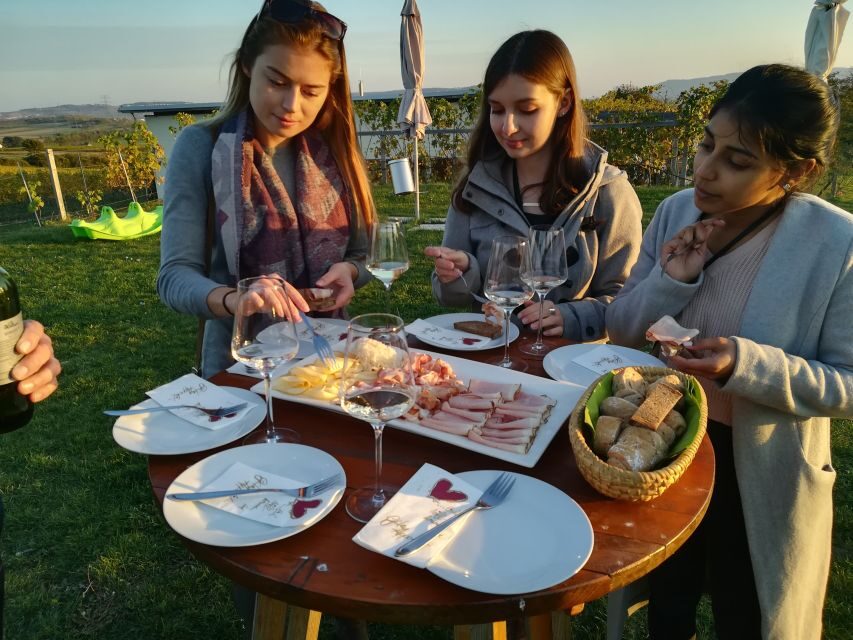 From Vienna: Half-day Countryside Wine Tour with Meal - The Traditional 2-Course Meal: Lunch or Dinner Done Right