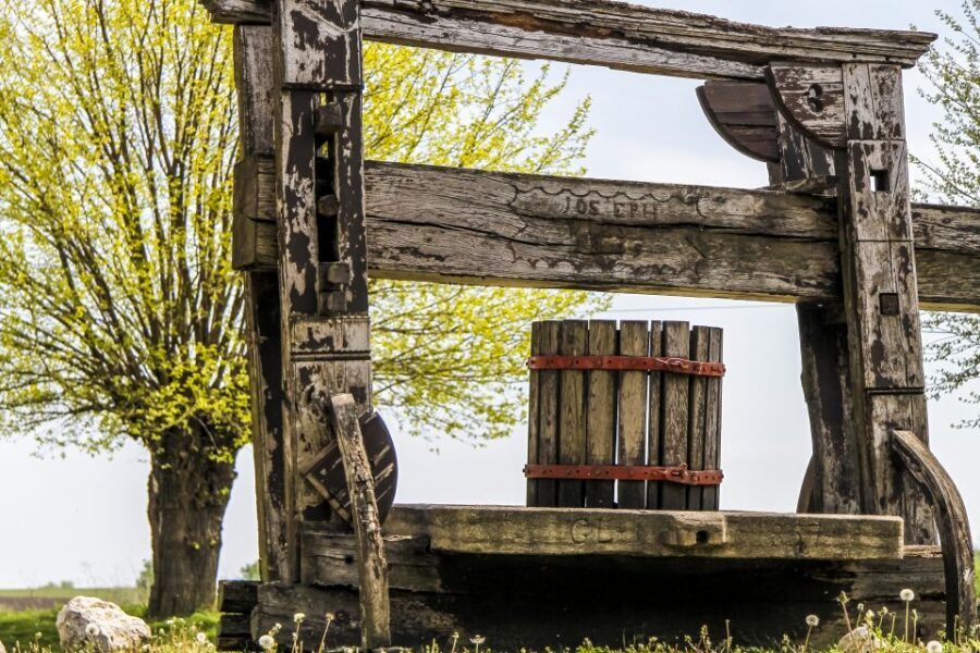 From Vienna: Half-day Countryside Wine Tour with Meal - Small-Group Logistics That Make the Day Feel Calm