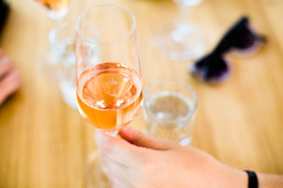 From Vienna: Wachau Valley Day Tour with Wine Tasting - Spitz Weingut Tasting: Where the River Meets the Vine