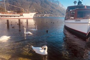 Fully private - SALZBURG, HALLSTATT & MELK ABBEY! - Hallstatt in one focused hour: town center, then Lake Hallstatt