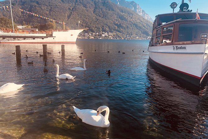Fully private - SALZBURG, HALLSTATT & MELK ABBEY! - Hallstatt in one focused hour: town center, then Lake Hallstatt