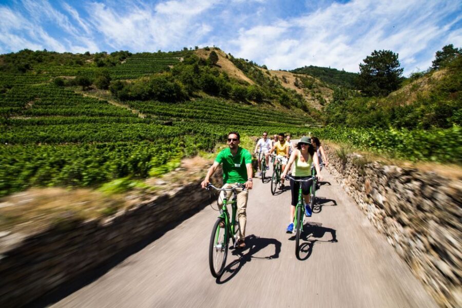 Grape Grazing: Wachau Valley Winery Biking Tour - Quick highlights