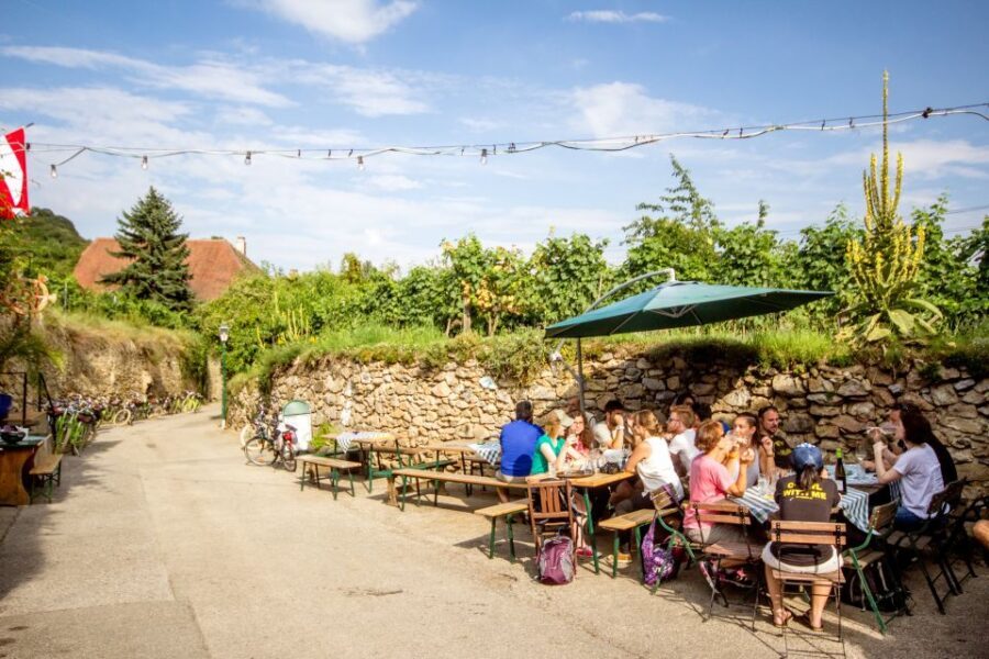 Grape Grazing: Wachau Valley Winery Biking Tour - Value check: is 163€ worth it for a full Wachau wine day?