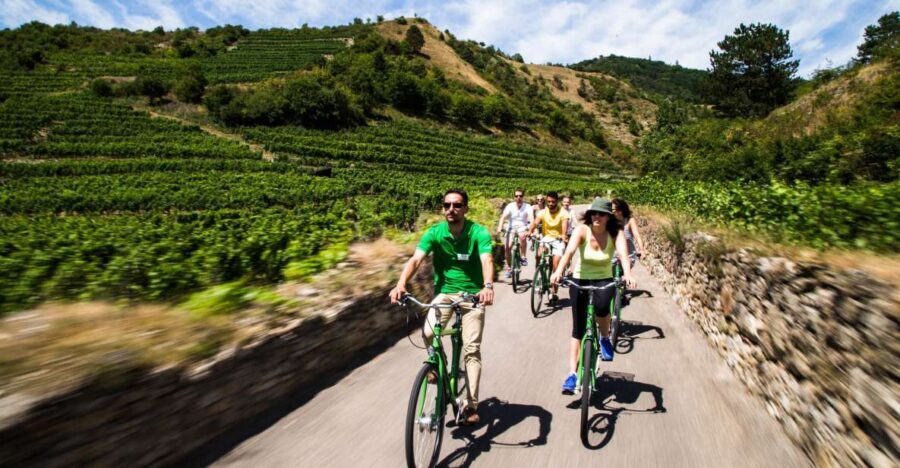 Grape Grazing: Wachau Valley Winery Biking Tour - Getting to Wachau: the Vienna train + bike start that keeps things simple