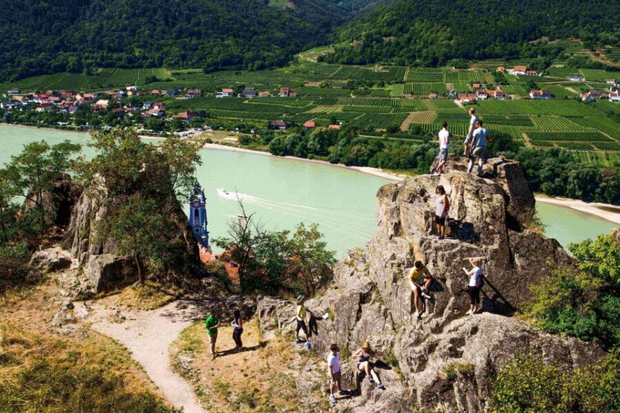 Grape Grazing: Wachau Valley Winery Biking Tour - Bikes, weather, and pacing: easy for many, not a spinning class
