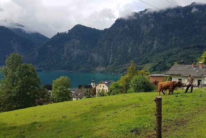 Hallstatt Small-Group Day Trip from Vienna - Hallstatt free time: how to spend it without feeling rushed
