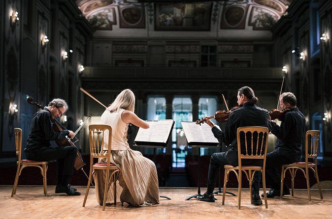 Haydn Quartett in the Musikverein (Brahms Hall) - What the on-site experience feels like: helpful staff and smooth entry
