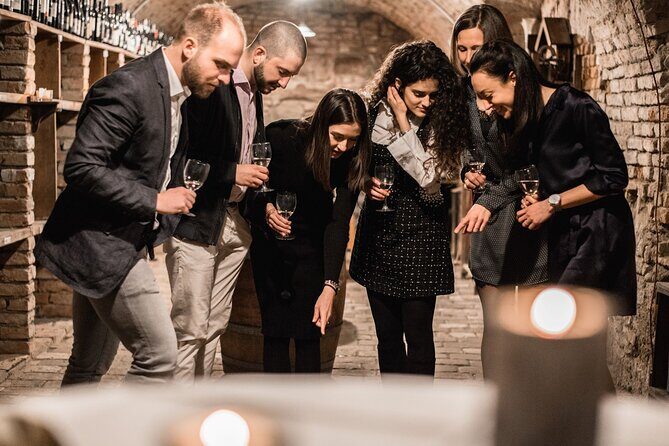 Hidden Wine Cellars Vienna - on the tracks of the Viennese wines - Guides, English, and the Small-Group Experience (Up to 10)
