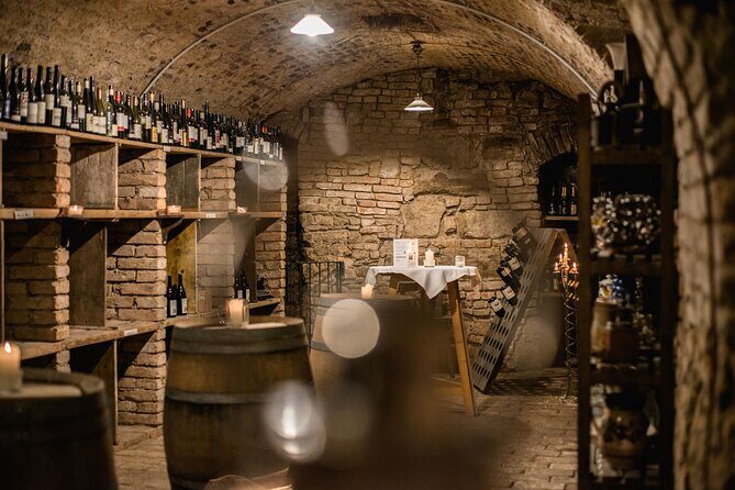 Hidden Wine Cellars Vienna - on the tracks of the Viennese wines - The Three Private Cellars: What Each Stop Feels Like