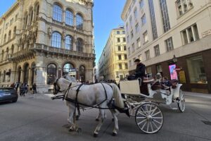 Highlights of Vienna in a Historical & Cultural 3h Walking Tour - Mozarthaus Vienna and St Stephen’s Cathedral: the music-and-medieval combo