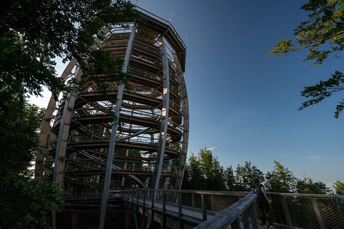 Immersive Private Tour: Hallstatt After the Crowds & Treetop Path - Baumwipfelpfad Salzkammergut: Treetops, Then 39 Meters Up