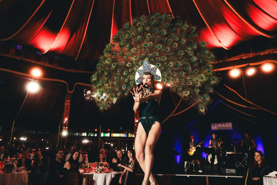 Mirage Vienna: Burlesque Spectacular – Dinner Show - What makes it work