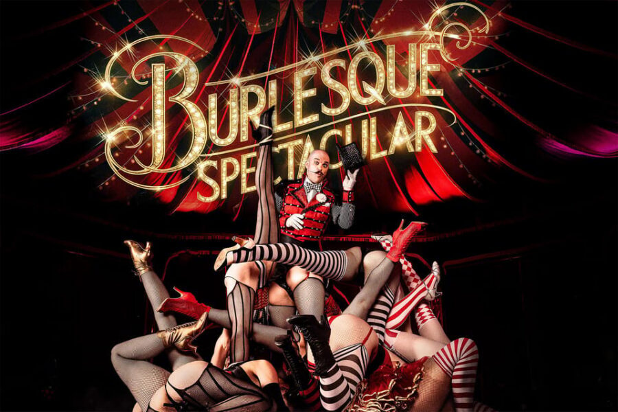Mirage Vienna: Burlesque Spectacular – Dinner Show - Key points before you go