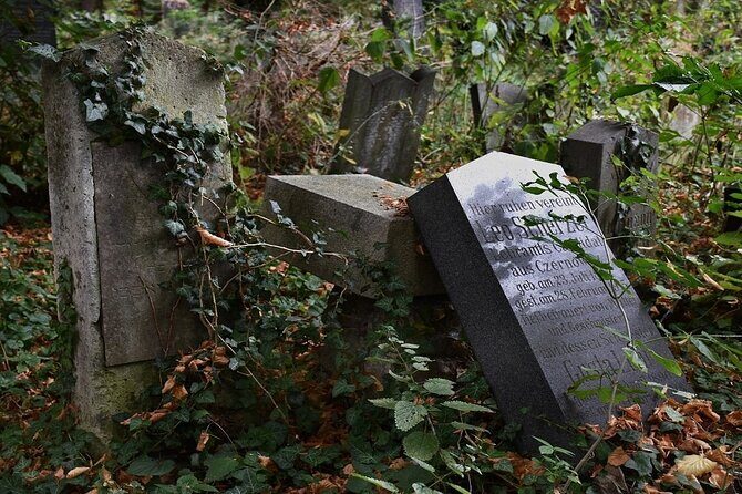 Mobile puzzle rally tour at the Vienna Central Cemetery - Key Highlights That Make This Rally Worth Your Time