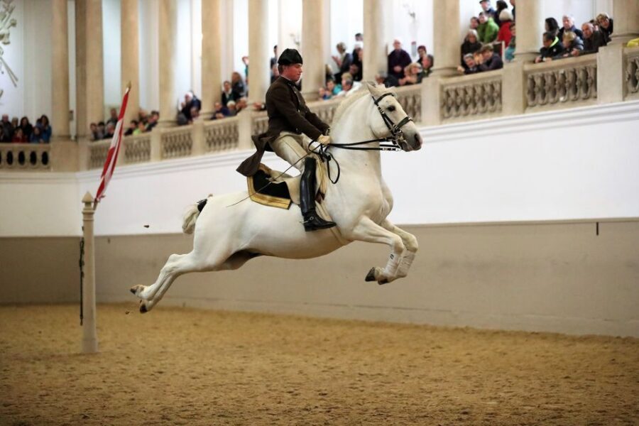 Performance Of The Lipizzans At Spanish Riding School - Why the Spanish Riding School show is worth your time in Vienna
