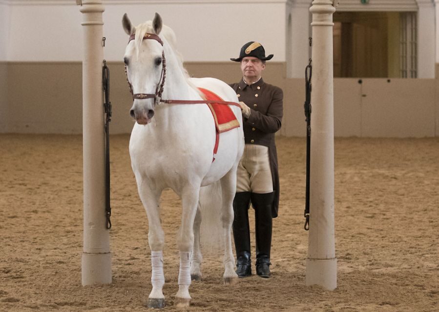 Performance Of The Lipizzans At Spanish Riding School - What’s included (and what isn’t): a value reality check