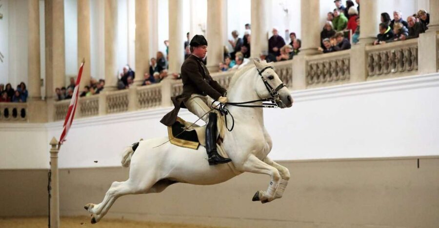 Performance Of The Lipizzans At Spanish Riding School - Ticket pickup at the Visitor Center: don’t show up empty-handed