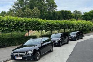 Prague private day tour from Vienna ( local guide ) - First Stop: Prague Castle Complex and Its Viewpoints