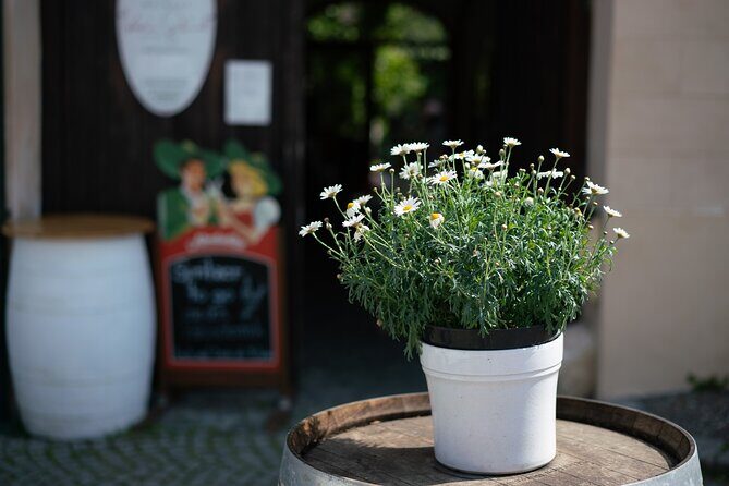 Private Guided Full Day Tour to charming Burgenland region with Wine tasting - Rust: wine-town energy and a winemaker cellar tasting
