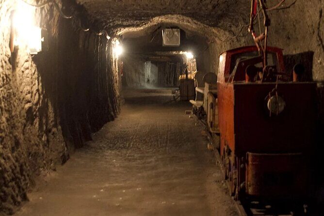 Private guided tour from Vienna to Hallstatt with Skywalk & Salt Mine Experience - Price and Value: What $599 Buys You