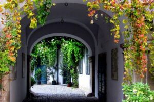 Private Hidden Vienna Walk — Stories Behind Quiet Corners - Price and Logistics: What You Actually Get for $344.80