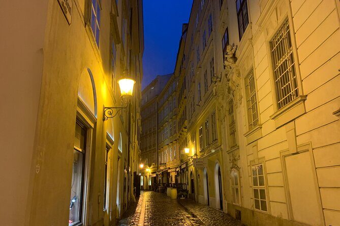 Private Spooky Vienna Ghost Tour - Blood Alley: one name that explains the vibe