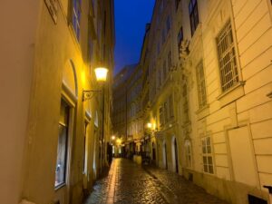 Private Spooky Vienna Tour - Poet’s Line and the Dark Mood of Vienna