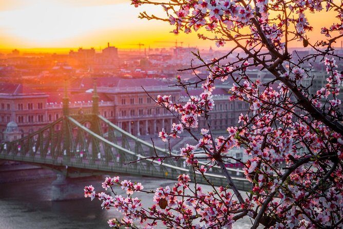 Private Transfer from Vienna to Budapest with 2 hours for sightseeing - Comfort and Vehicle Options: What Fits Your Group