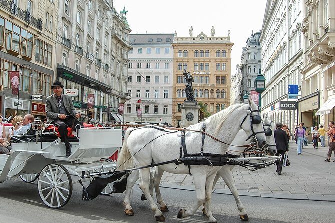 Private Vienna City Tour with Schonbrunn Palace Visit - Key Things That Make This Tour Worth Your Time