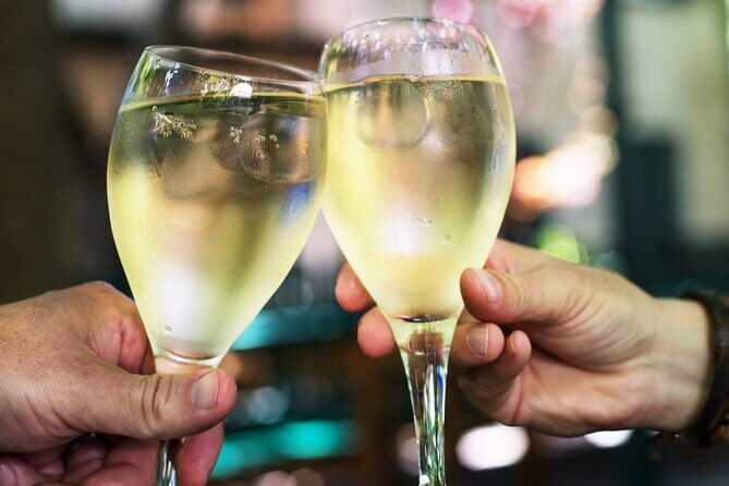 Private Vienna Wine Tour with Top Austrian Wines and Tapas - 4 Hours in Vienna: how this tour keeps the pace friendly