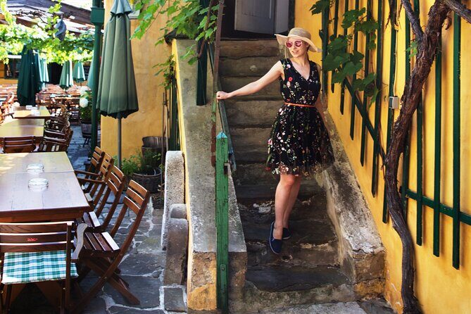Private Vienna Wine Tour with Top Austrian Wines and Tapas - Practical tips before you go